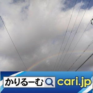 133_rainbow231213w500x500.jpg